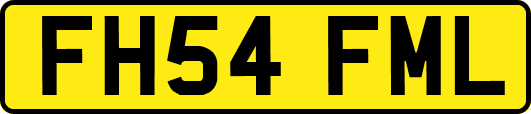 FH54FML