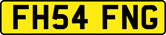 FH54FNG