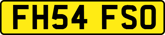 FH54FSO