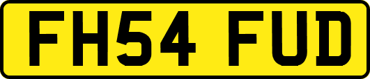 FH54FUD