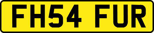 FH54FUR
