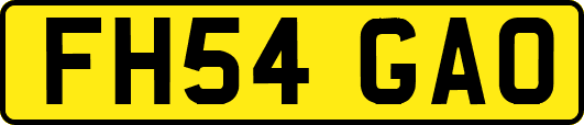 FH54GAO