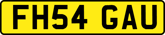 FH54GAU