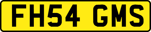 FH54GMS