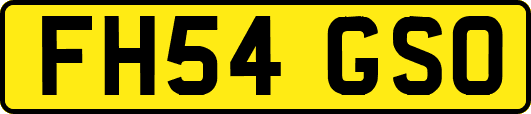 FH54GSO