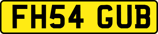 FH54GUB