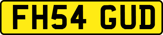 FH54GUD