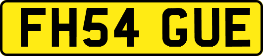 FH54GUE
