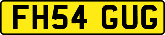 FH54GUG