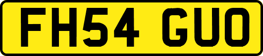 FH54GUO