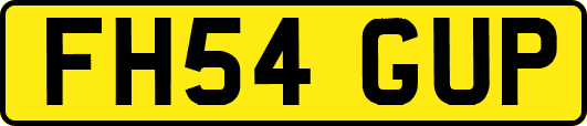 FH54GUP