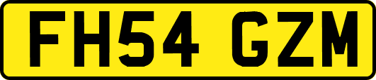 FH54GZM