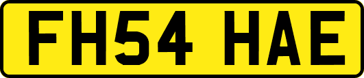 FH54HAE