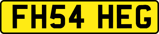 FH54HEG