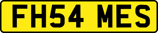 FH54MES