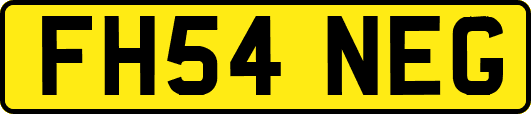 FH54NEG