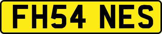 FH54NES