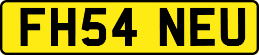 FH54NEU
