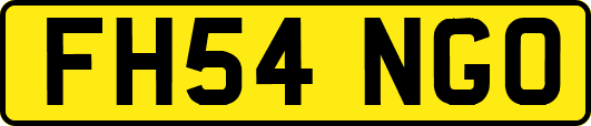 FH54NGO