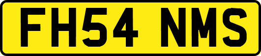 FH54NMS
