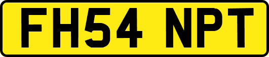 FH54NPT