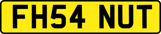 FH54NUT