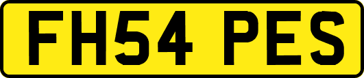 FH54PES