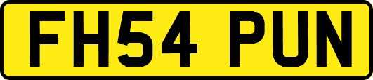 FH54PUN