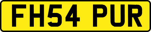 FH54PUR