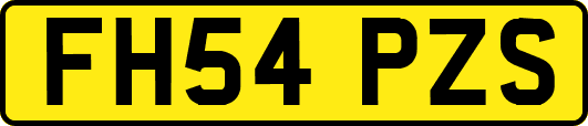 FH54PZS