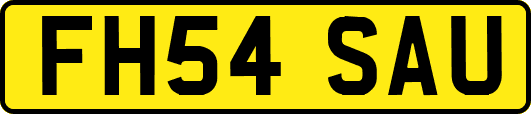 FH54SAU