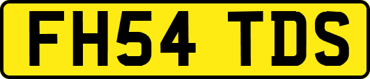 FH54TDS