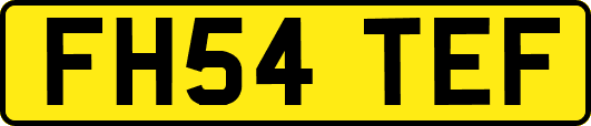 FH54TEF