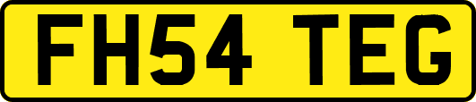 FH54TEG