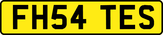FH54TES
