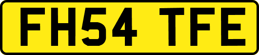 FH54TFE
