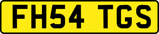 FH54TGS