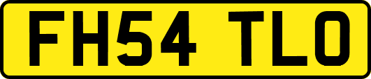 FH54TLO