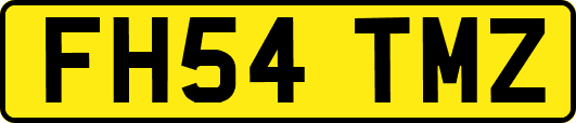 FH54TMZ