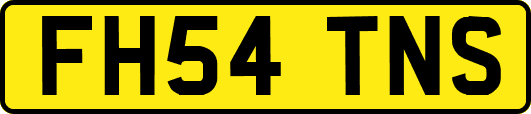 FH54TNS