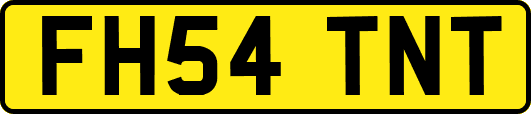 FH54TNT