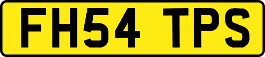 FH54TPS