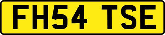 FH54TSE