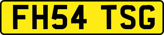 FH54TSG