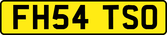 FH54TSO