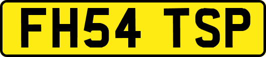 FH54TSP
