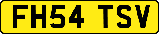 FH54TSV