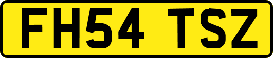FH54TSZ