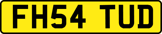 FH54TUD