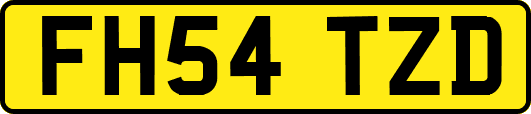 FH54TZD